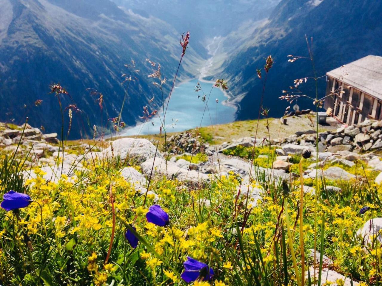 Appartement Christoph Ried im Zillertal Dış mekan fotoğraf